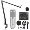 Professional Condenser Microphone for Studio Recording