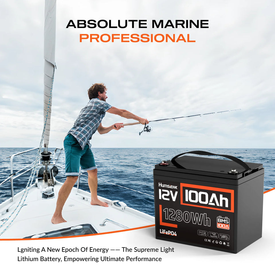 Humsienk LiFePO4 Lithium Battery 12V 100AH BMS 100A 1280Wh For RV/Vans/Trolling Motor/Off-grid/Camping/2-Year Warranty/UL 1973