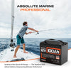 Humsienk LiFePO4 Lithium Battery 12V 100AH BMS 100A 1280Wh For RV/Vans/Trolling Motor/Off-grid/Camping/2-Year Warranty/UL 1973
