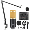 Professional Condenser Microphone for Studio Recording